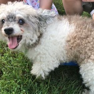 Meet your Posher, Christina